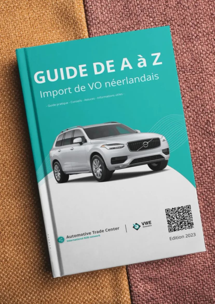 Guide d'achat aidant les marchands à importer des lots de véhicules d'occasion en France